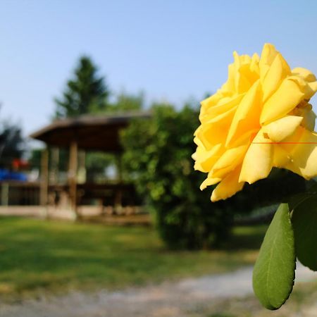Agriturismo Ai Vigneti Понти Сул Минчо Екстериор снимка
