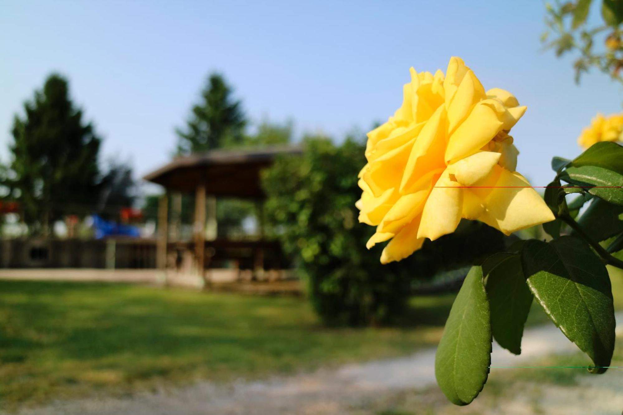 Agriturismo Ai Vigneti Понти Сул Минчо Екстериор снимка